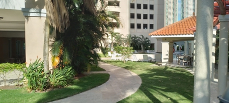 Luxury 3-Bedroom Apartment with Amenities in Punta Pacifica - image 33