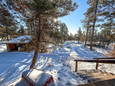 Luxury Home and Shop Small Acreage Little Rocky Mountains - image 37