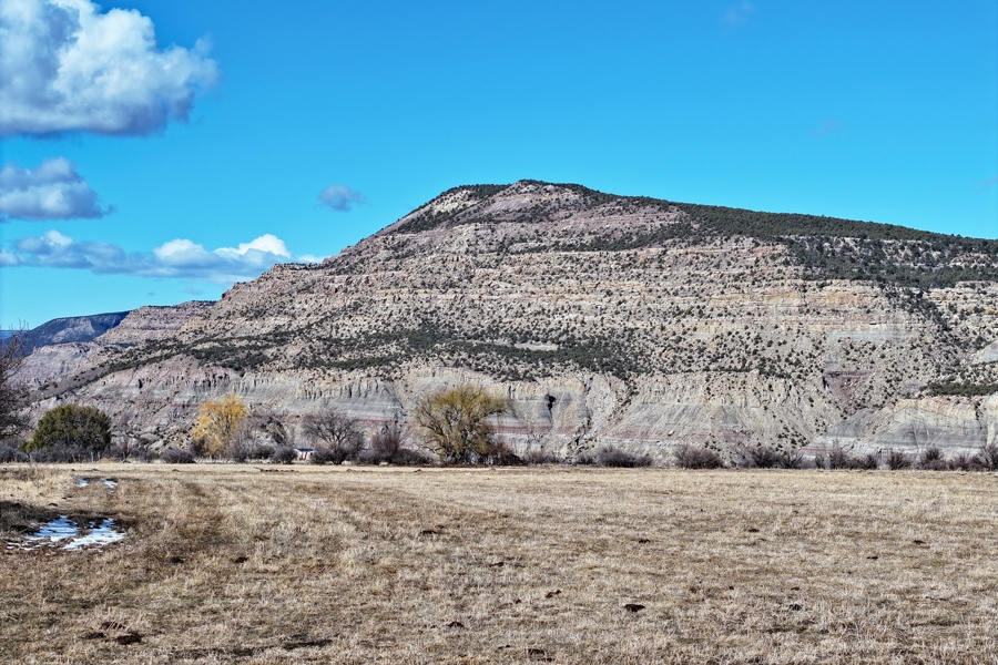 Hay Ground For Sale In Western Colorado