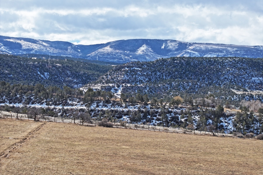 Hay Ground For Sale In Western Colorado