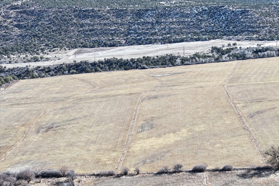 Hay Ground For Sale In Western Colorado