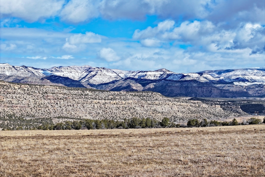 Hay Ground For Sale In Western Colorado