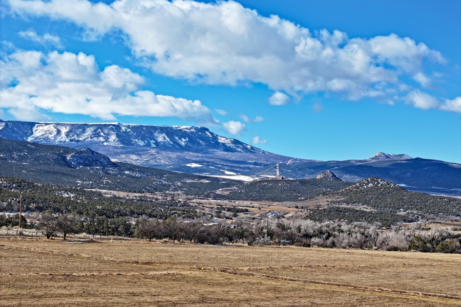 Hay Ground For Sale In Western Colorado