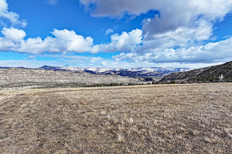 Hay Ground For Sale In Western Colorado