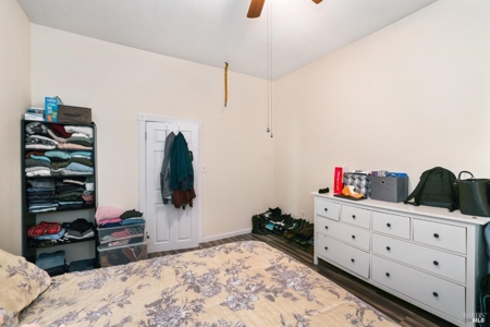 Winters, CA Country Home & Orchard For Sale - image 17