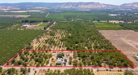 Winters, CA Country Home & Orchard For Sale - image 39