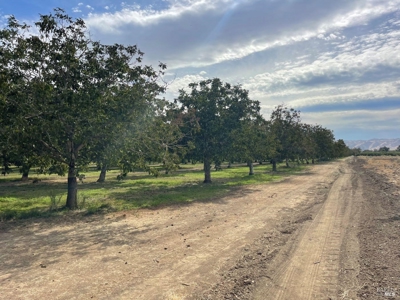 Winters, CA Country Home & Orchard For Sale - image 26