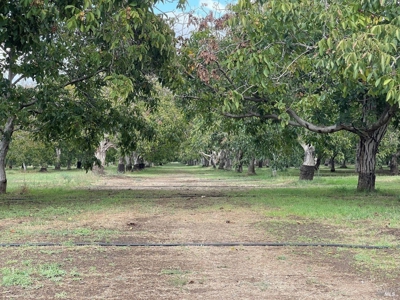 Winters, CA Country Home & Orchard For Sale - image 28