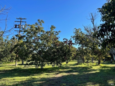 Winters, CA Country Home & Orchard For Sale - image 29