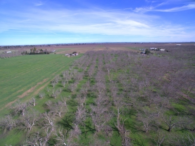 Winters, California Acreage, Orchard or Homesite for Sale - image 12