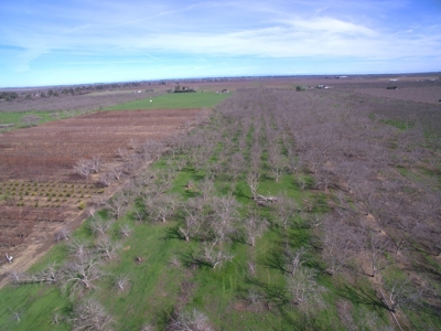 Winters, California Acreage, Orchard or Homesite for Sale - image 8