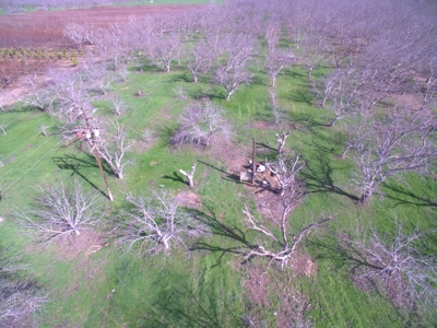 Winters, California Acreage, Orchard or Homesite for Sale - image 7