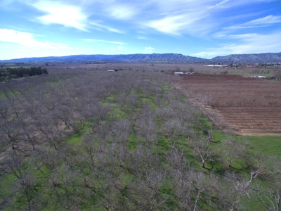 Winters, California Acreage, Orchard or Homesite for Sale - image 4