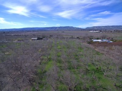 Winters, California Acreage, Orchard or Homesite for Sale - image 3