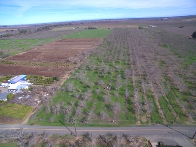 Winters, California Acreage, Orchard or Homesite for Sale - image 9