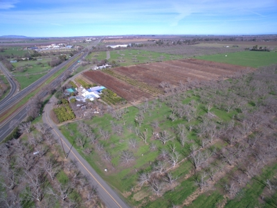 Winters, California Acreage, Orchard or Homesite for Sale - image 10