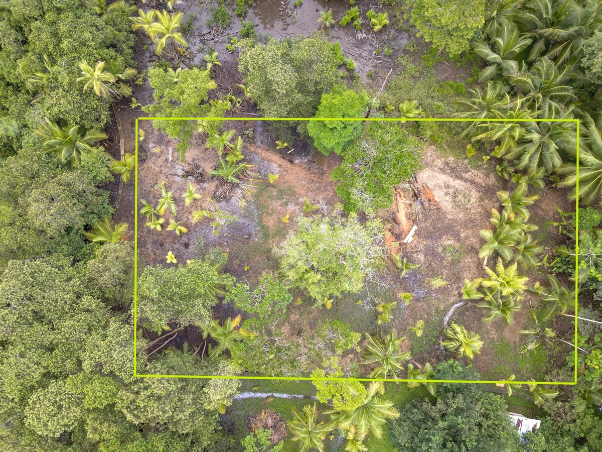 Waterfront Lot, 1,500 m² — Isla Solarte - 7