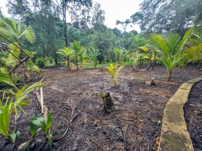 Waterfront Lot with Level Land Close to Bocas Town, Panama - image 4