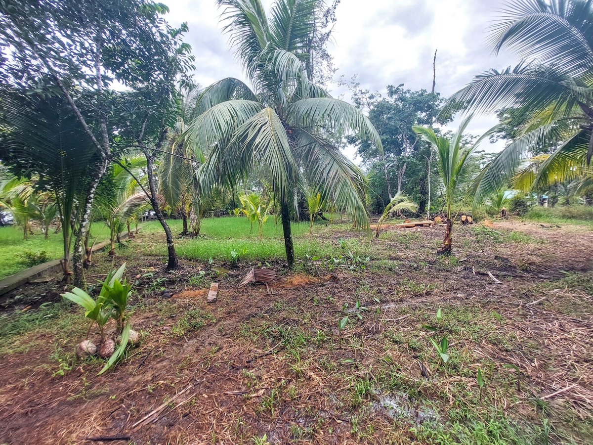 Waterfront Lot, 1,500 m² — Isla Solarte - 5