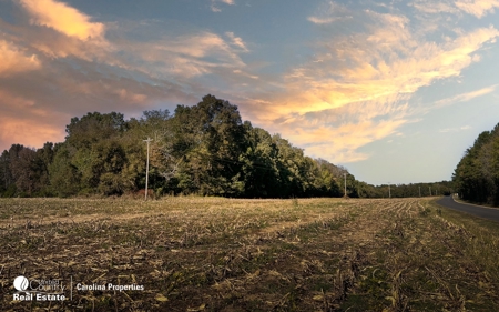 Five Buildable Farmland Tracts For Sale In NC - image 26