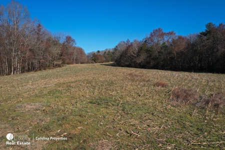 Five Buildable Farmland Tracts For Sale In NC - image 23