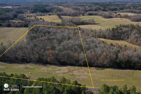 Five Buildable Farmland Tracts For Sale In NC - image 10