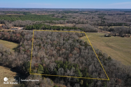 Five Buildable Farmland Tracts For Sale In NC - image 5
