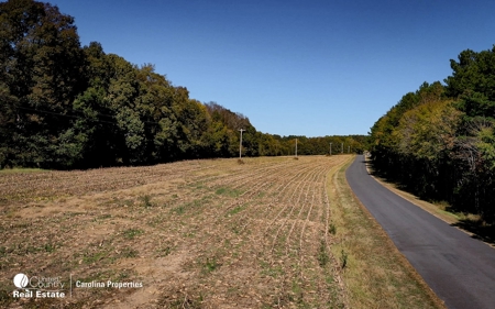 Five Buildable Farmland Tracts For Sale In NC - image 27