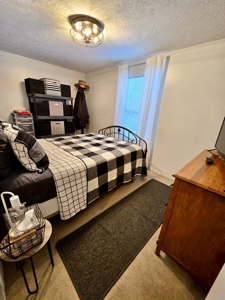 Home on 4+ Acres Near Hoosier National & Patoka Lake - image 15