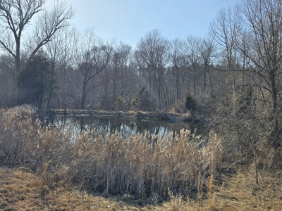 Home on 4+ Acres Near Hoosier National & Patoka Lake - image 31