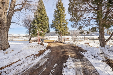 Farmhouse FOR SALE in Mancos, Colorado - image 3