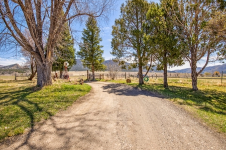 Farmhouse FOR SALE in Mancos, Colorado - image 44