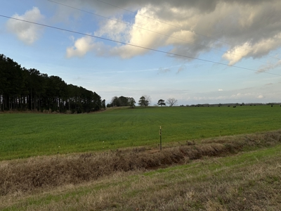 Lot for sale in Enterprise, Alabama - Approximately 3 acres - image 5