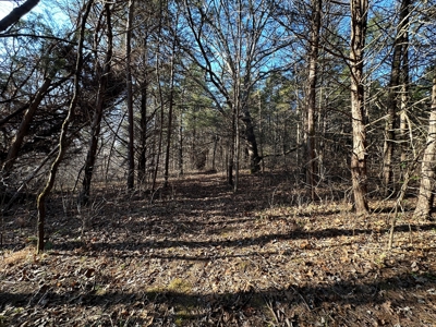 Land for Sale in the Missouri Ozarks! - image 30