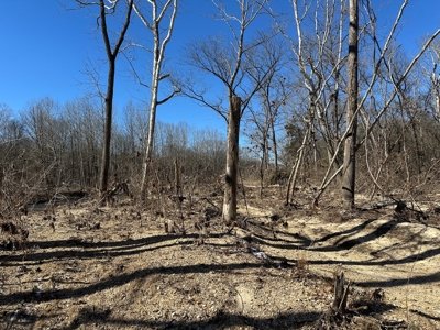 Land for Sale in the Missouri Ozarks! - image 9