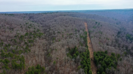 Land for Sale in the Missouri Ozarks! - image 46