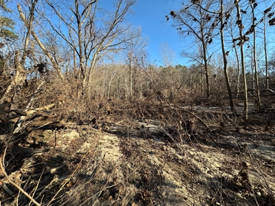 Land for Sale in the Missouri Ozarks! - image 21