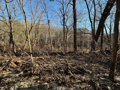 Land for Sale in the Missouri Ozarks! - image 25