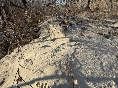 Land for Sale in the Missouri Ozarks! - image 28