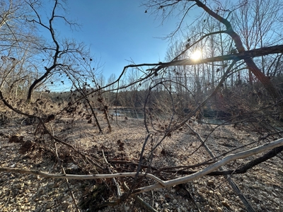 Land for Sale in the Missouri Ozarks! - image 33