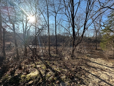 Land for Sale in the Missouri Ozarks! - image 32