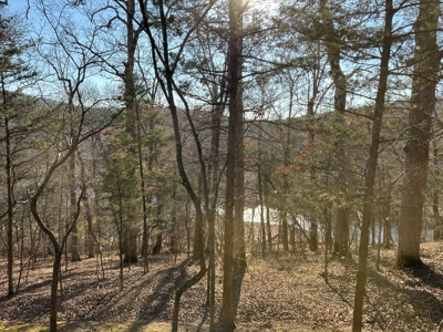 Land for Sale in the Missouri Ozarks! - image 40