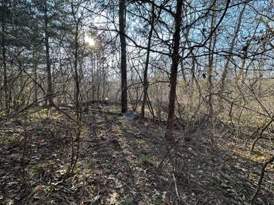 Land for Sale in the Missouri Ozarks! - image 29