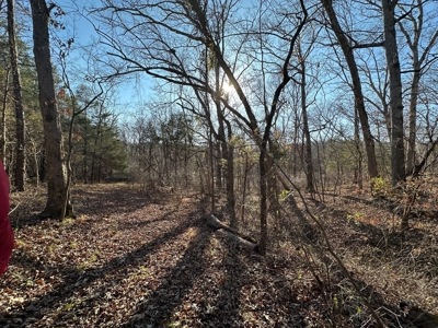 Land for Sale in the Missouri Ozarks! - image 39