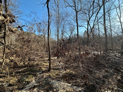Land for Sale in the Missouri Ozarks! - image 20