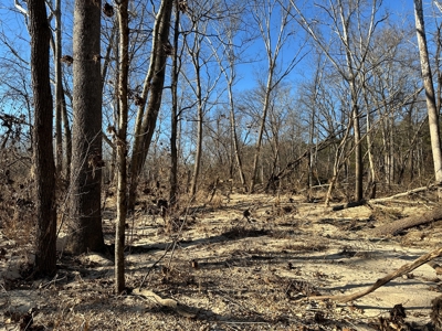 Land for Sale in the Missouri Ozarks! - image 23