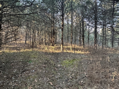 Land for Sale in the Missouri Ozarks! - image 11
