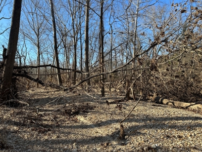 Land for Sale in the Missouri Ozarks! - image 22