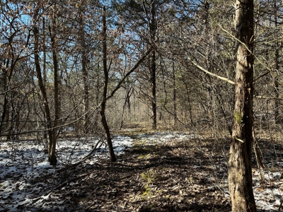 Land for Sale in the Missouri Ozarks! - image 8