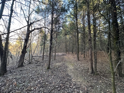 Land for Sale in the Missouri Ozarks! - image 17